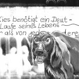 Heft Roruys Imifest 011/2015